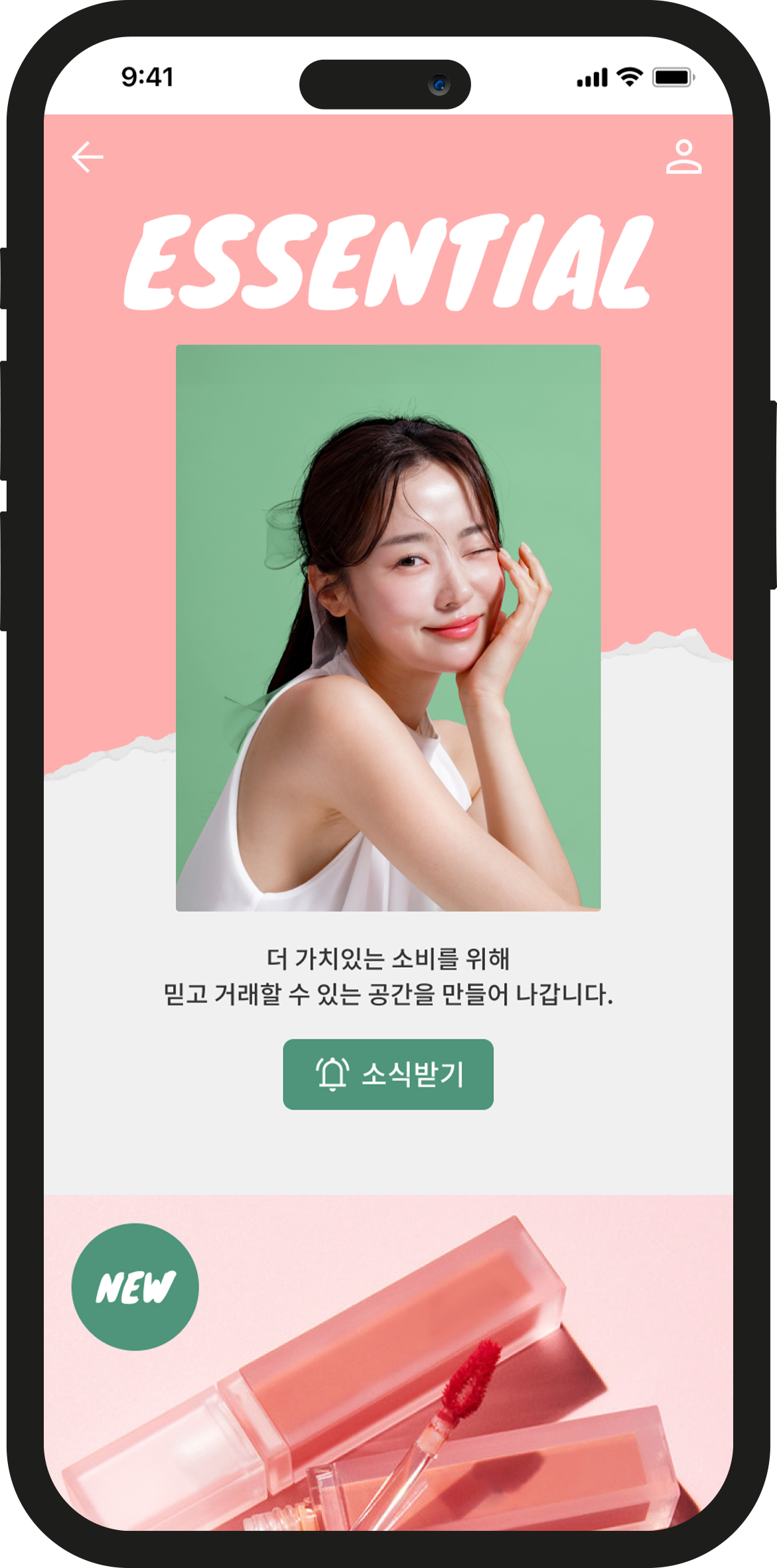 디자인 템플릿 — 비비드 팝형